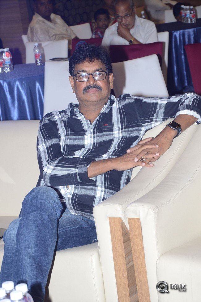 Ammammagarillu-Movie-Successmeet